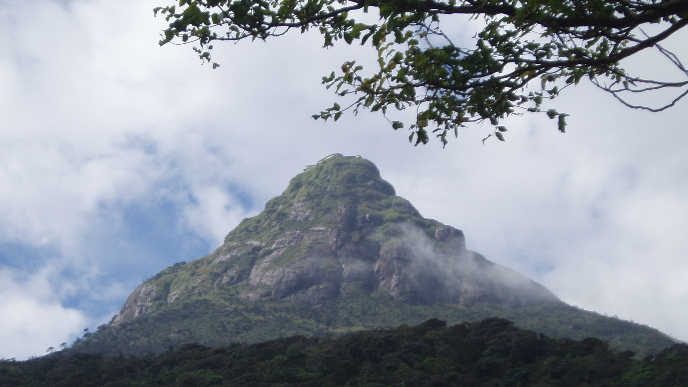 ‘Waiting for Dawn atop Butterfly Mountain’ and Other Poetry by Martin Elster