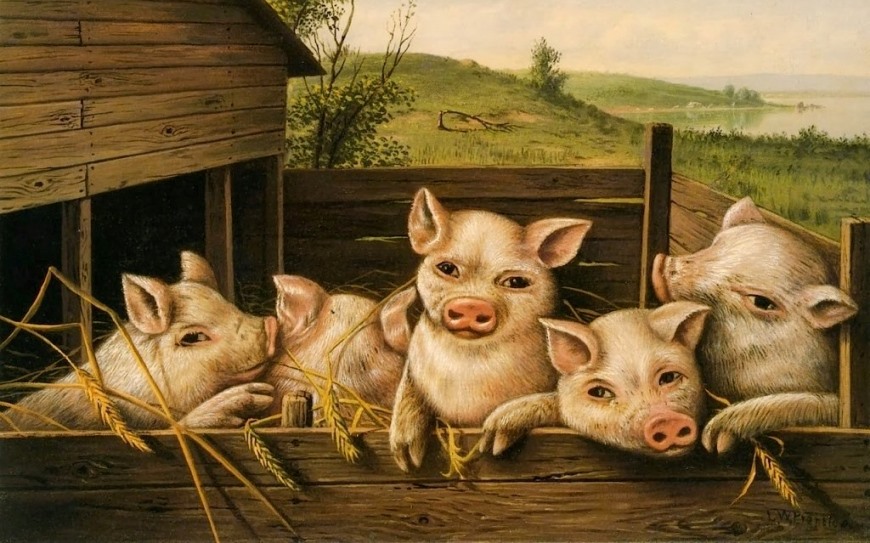 ‘If I Could Be’ by Hayden Bergman