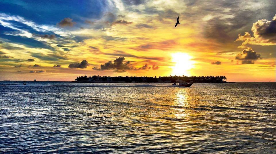 ‘Unexpiring’ and Other Poetry by Alec Ream