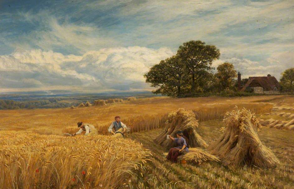 ‘Meadows of Corn’ and Other Poetry by Satyananda Sarangi