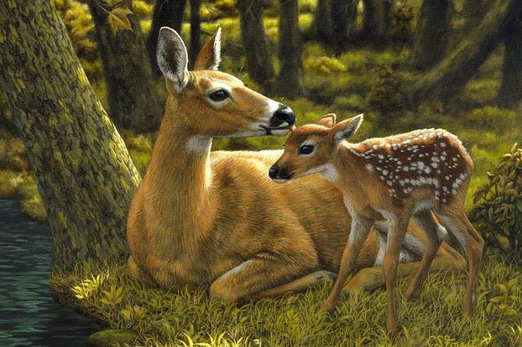 ‘Passing of the Seasons’ and Other Poetry by Wandi Zhu