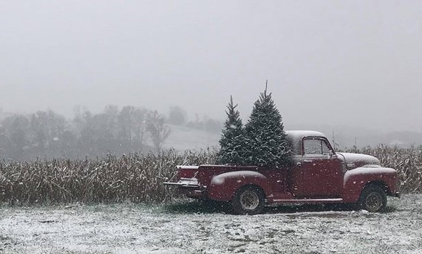 ‘Winter Wore a Raiment White’ and Other Poetry by Alec Ream