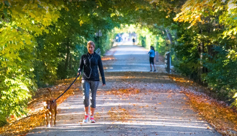 ‘Between the Trees, Along the Path – Monon Trail, Carmel IN’ by Rosaleen Crowley
