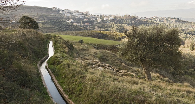 ‘The Swallows of La Cienega’ by Joseph Charles MacKenzie (with Audio)