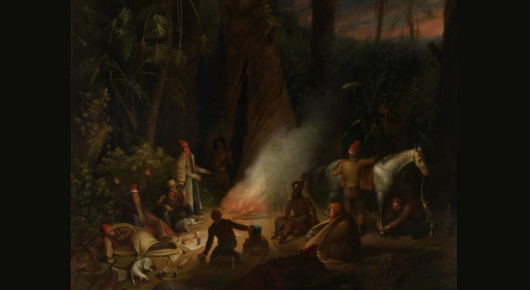 ‘Cabbage-Tree Day Break’ by Stephen McCarthy