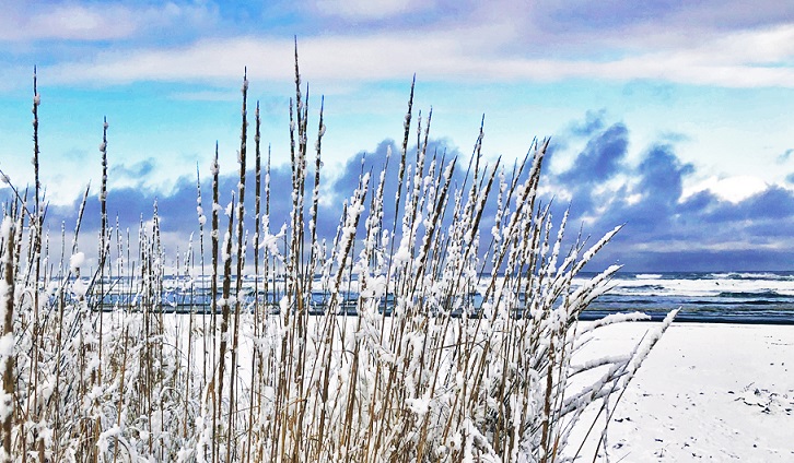 ‘Early Morning Winter Walk’ and Other Poetry by James A. Tweedie