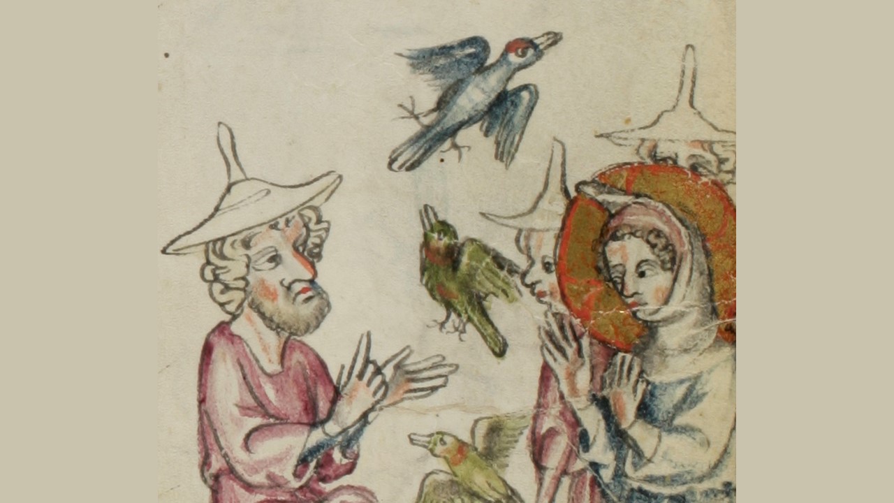 ‘Kingfishers and Kites’ and Other Poetry by Denise Sobilo