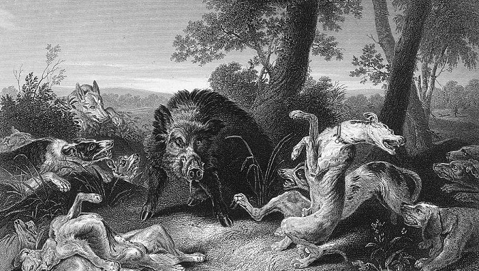 A Fairy Tale in Poetry: ‘The Singing Bone,’ by Jan Darling