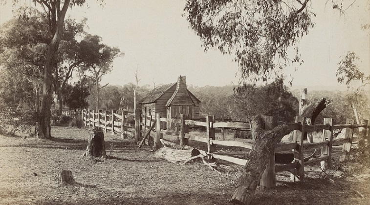 ‘Sunday Visitors – Parts 1 & 2’ by Derek Bland