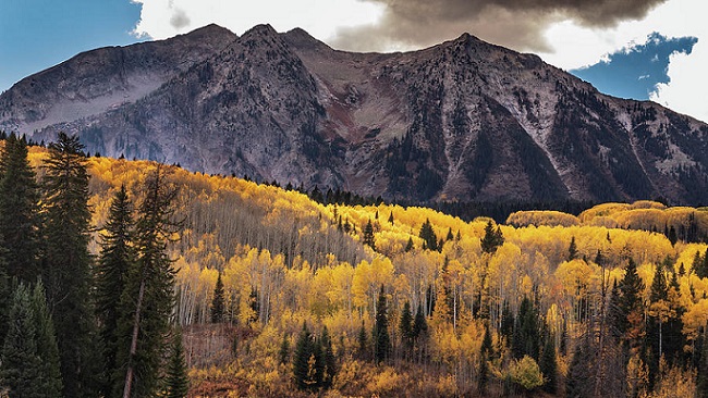 Psalms for the High Country, by Peter Bridges