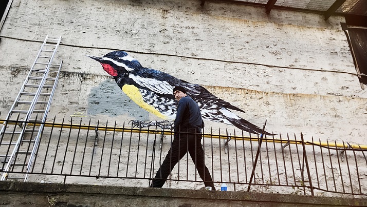‘The City-Bird’ by Michael Curtis