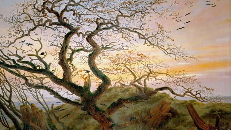 ‘Where Are the Leaves?’: A Late Autumn Rondeau by Jeff Kemper