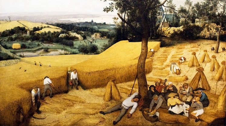 ‘Grain’ and Other Poetry by Stephen Ramsek