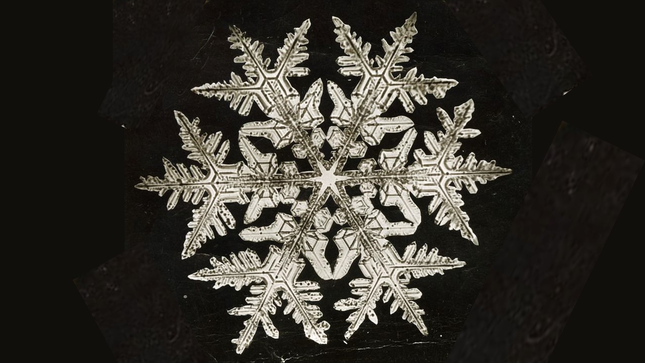 poem/corey/winter/snowflake