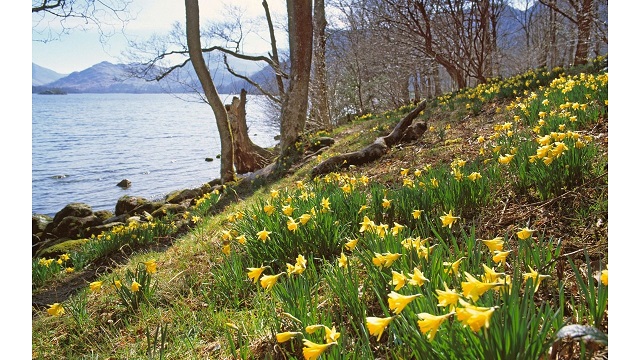 ‘Ode to Spring’ by Susan Jarvis Bryant