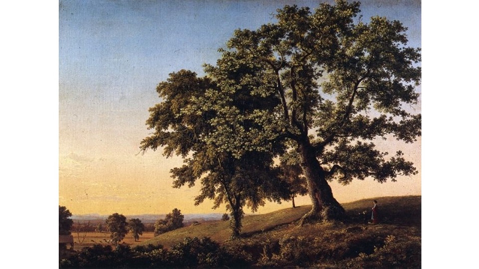 ‘Lay of the Oak’ by William Heard