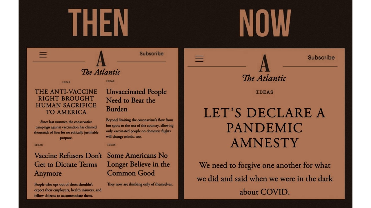 ‘Unmasked Musings on the Plea for Pandemic Amnesty’ by Susan Jarvis Bryant