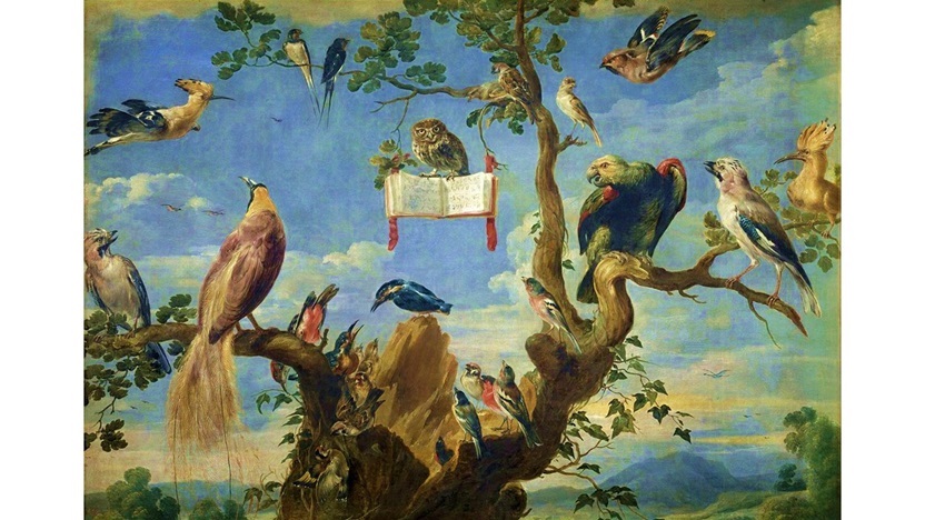 Three Poems by Sally Cook