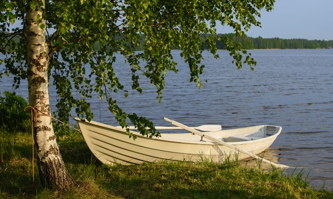 ‘Fungible Assets’ and Other Poetry by C.B. Anderson