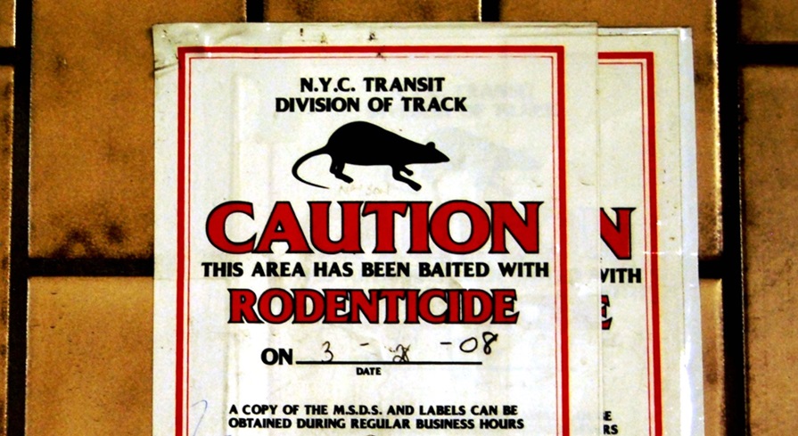 ‘A Divine Mistake?’: A Poem by Norma Pain