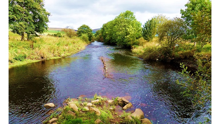 ‘Look Homeward, Sweet Afton’: Poem by Brian Yapko, Set to Music by Jeff Eardley