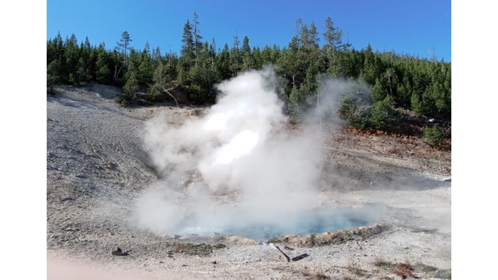 ‘Beryl Spring’: A Poem by Margaret Coats