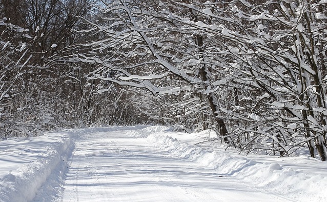 ‘After the Snow’: A Poem by Steven Frattali
